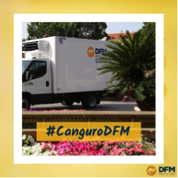 DFM Rent a Car