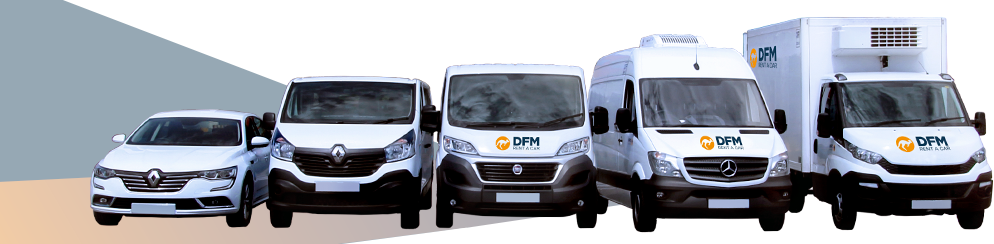 Flota DFM