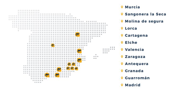 Delegaciones DFM Rent a car